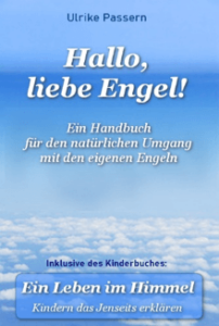 Buchcover "Hallo liebe Engel" von Ulrike Passern