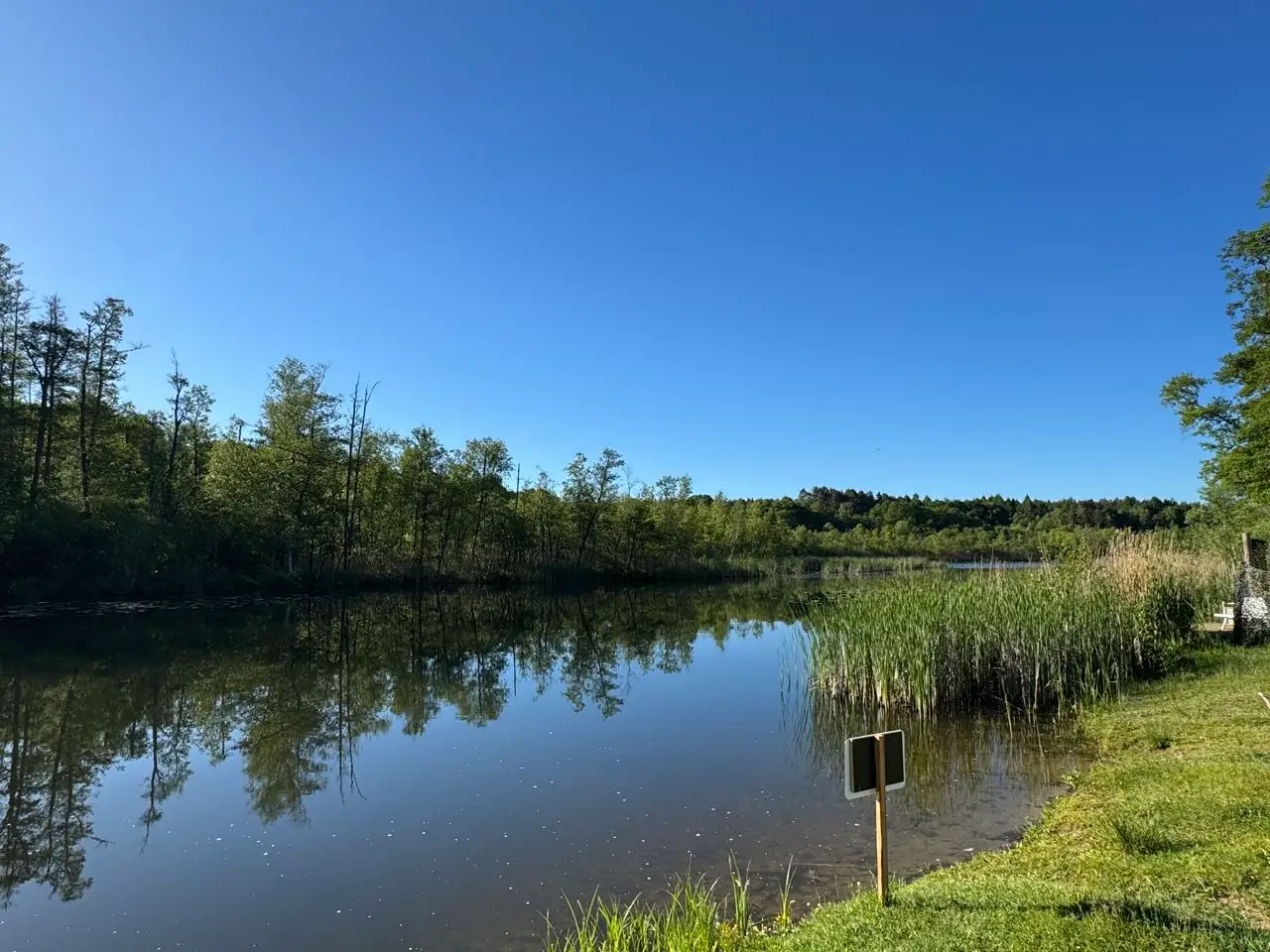 Fastenwanderzeit an der Fleether Mühle bei Mirow. Ein Erfahrungsbericht.